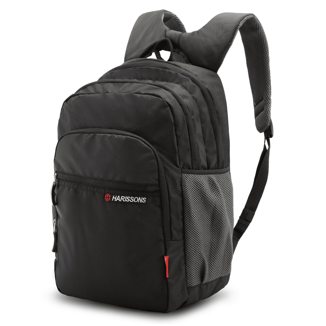 BRAVO DX - Casual Laptop Backpack